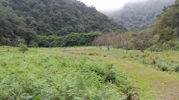 1071110福山植物園、望龍埤環湖步道458470