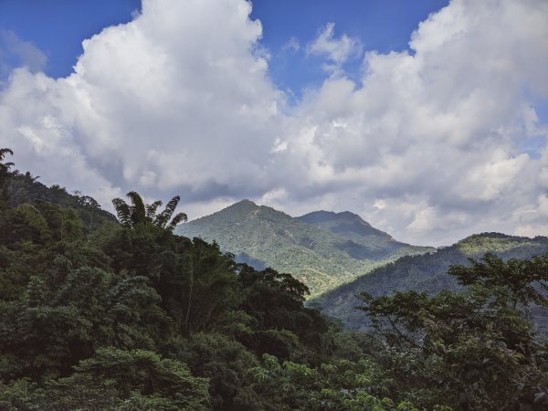 【南化甲仙】西阿里關山、白雲山1497084