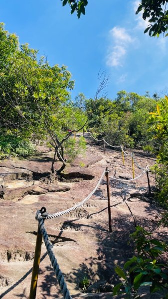 金面山親山步道2867834