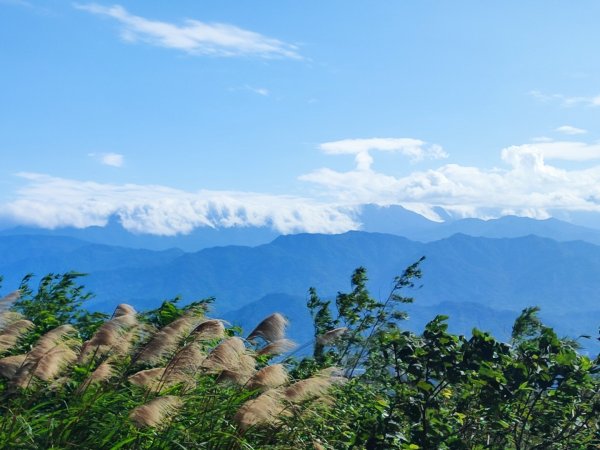 新嶺山步道-大湖頂山-大棟山-鶯歌大榕樹-福源山步道2990679