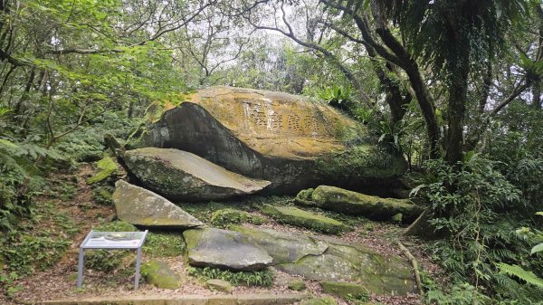 20250625遠望坑口-遠望坑崙-176峰-陸軍路礦864-遠望坑山O型2826170