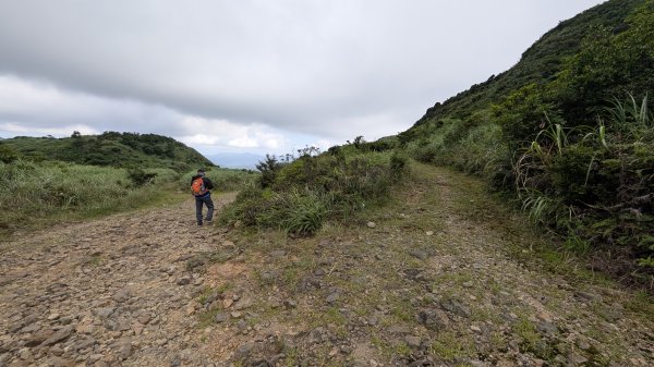 115.05.31燦光寮古道-草山-不厭亭之旅3067253