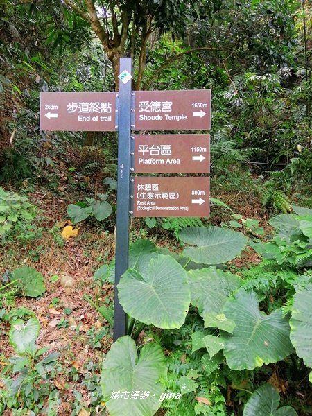 彰化二水~山林美境尋寶石~坑內坑森林步道1170770