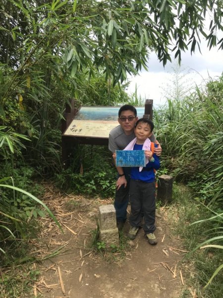 新竹五指山599745