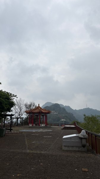 雨後2966806