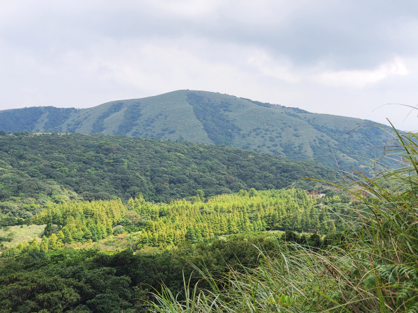 陽明山＞絹絲瀑布＞擎天崗＞冷水坑＞七星公園＞遊客中心