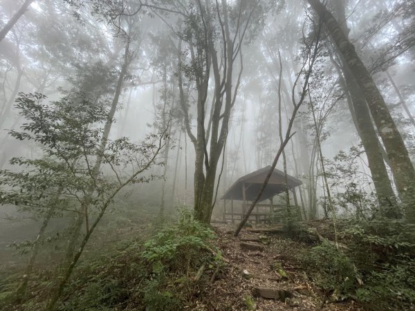 谷關七雄 《 馬崙山 》2025 09/06