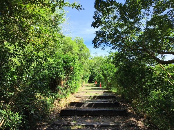 [漫遊縱谷 愛在花東-01/10] 2025_1011 大武觀海步道2912910