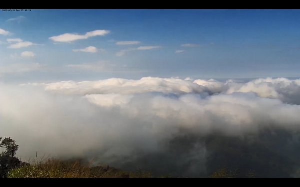 阿里山雲瀑&雲海/富士山直播即時視訊841047