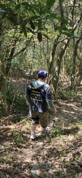 2026-0315 桃園虎頭山3015943