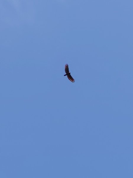 達娜伊谷-里美避難步道-巨石板步道-約富霓2788526