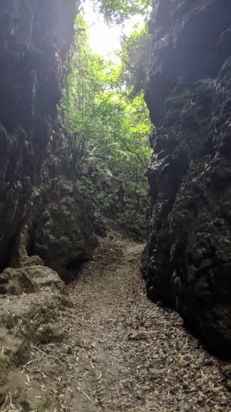 大崗山盤龍峽谷步道1452717