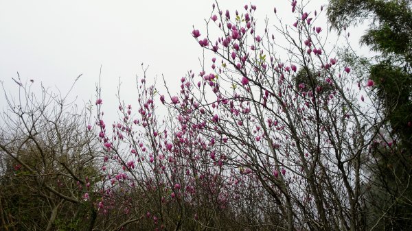 十八彎古道2026582