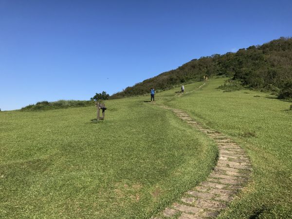 陽明山東西大縱走146718