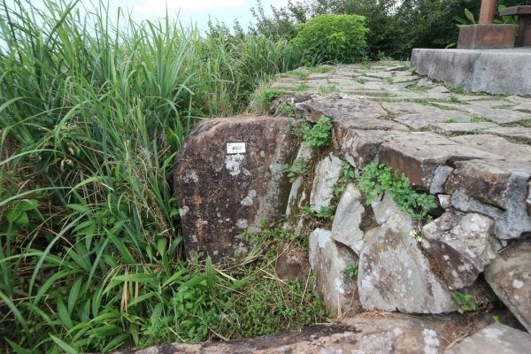 小百岳NO12  汐止大尖山 縱走海拔641公尺 四分子尾山2228978