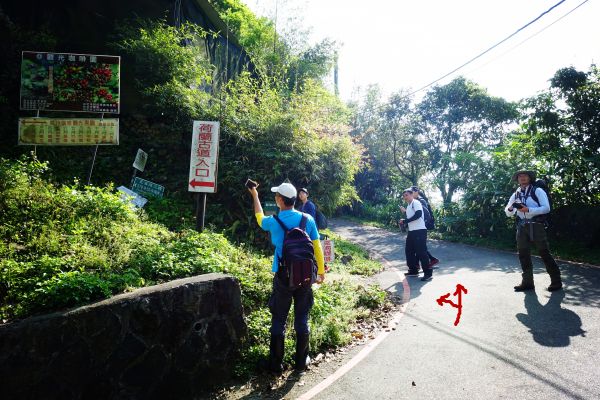 頂山石梯。擎天崗O型2018.03.24296022