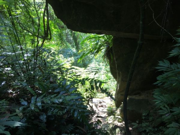 右去左回-石牛山300112