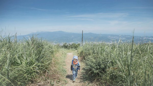 四歲小樂的第11座小百岳-姜子寮山1031808