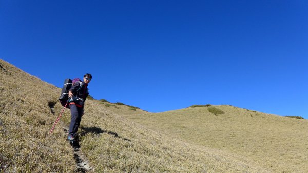 大好天氣的奇萊東稜488911