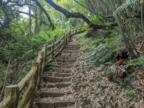 中正山環狀路線：捷運新北投站來回2104942