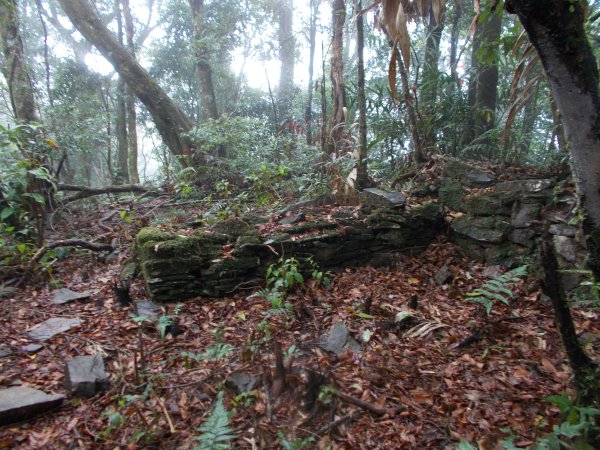 蕃社坑山連走鳳紗山隘勇線1107148