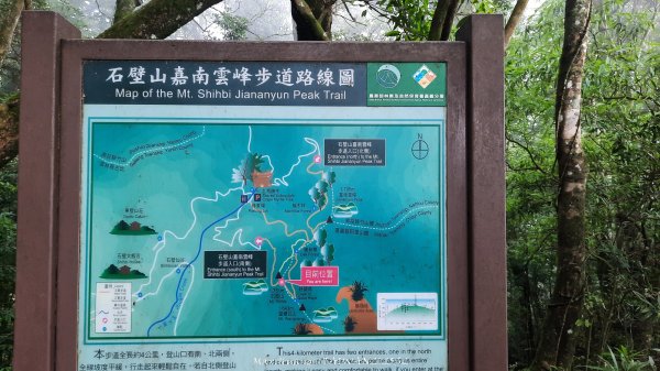 《雲林》望好望角｜石壁山嘉南雲峰步道(中側登山口）202506072805403