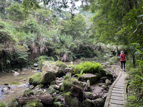 20250706-EP.08四寮溪生態步道-2025森遊竹縣皮皮獅探險隊2851854