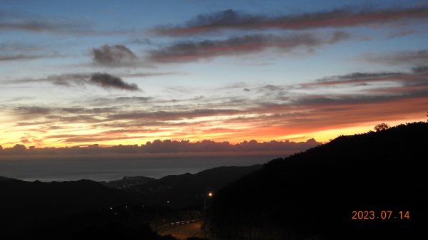 雲山水花鳥蝶 - 天龍國阿伯的日常，沒鳥也沒蝶槓龜 7/14&172217423