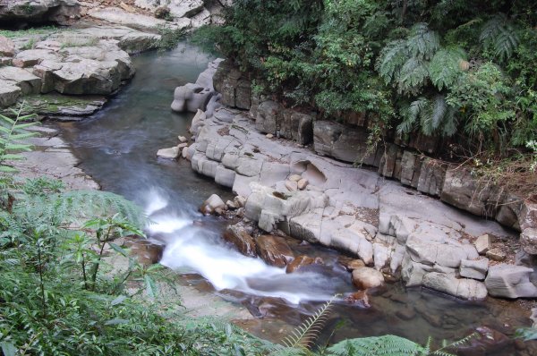 坪林金瓜寮溪步道1957854