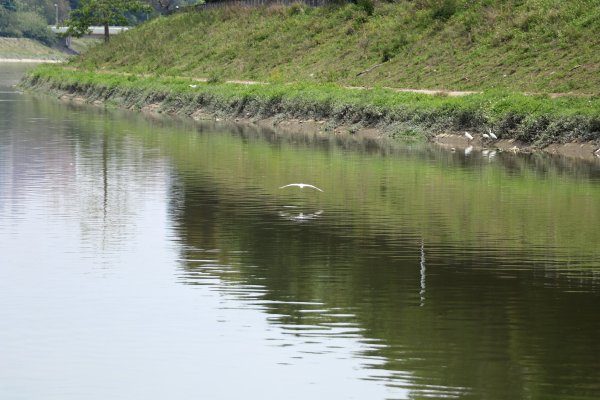 HK - 大石磨949993