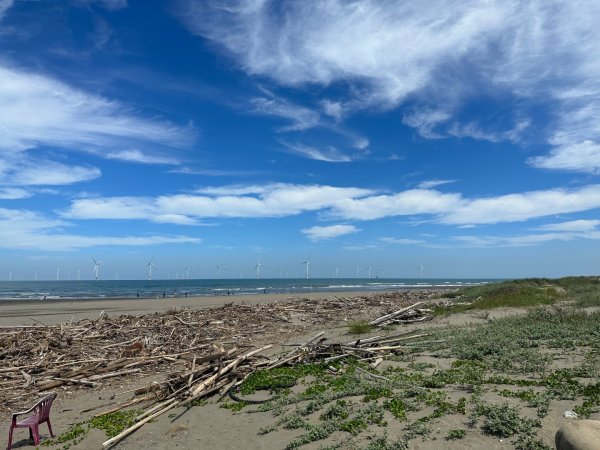 苗栗-竹南海濱森林步道2617466