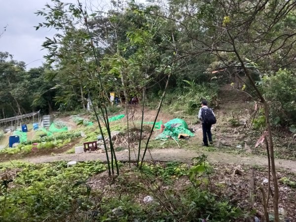 基隆市三層山+湳子大崙+淡基橫斷古道+面桶寮土地公2982251