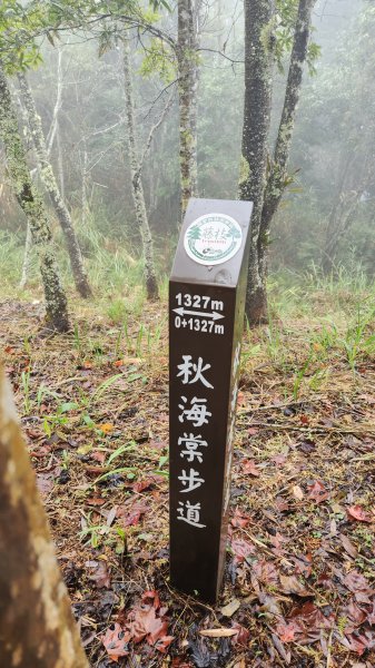 111/12/18藤枝森林園區東藤枝山、藤枝山1979560