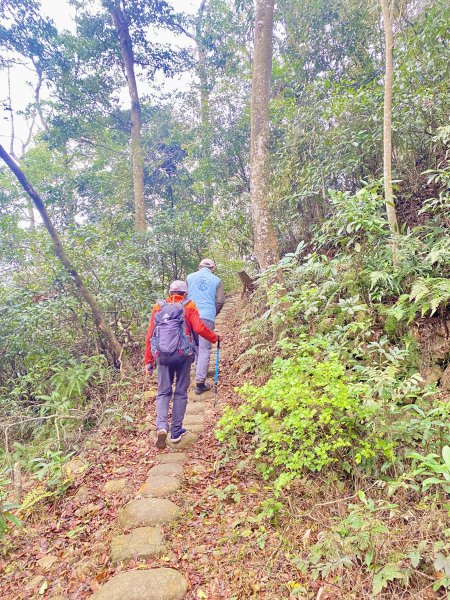 三義銅鑼基石巡禮—大椼茂.大坑尾.竹圍.長潭坑.田洋.圓潭.虎頭崁.簡窩筧.大薰山 2024.3.72447834