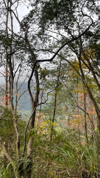 霞喀羅古道-養老進-白石駐在所折返2677490