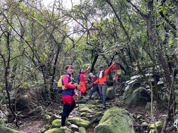 20250201貢大縱走(大石壁坑山主北峰-五酒桶山-龍崗山-吾居吾墅步道)2703734