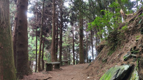 檜山巨木森林步道1779511
