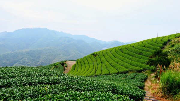 雲嘉五連峰2948641