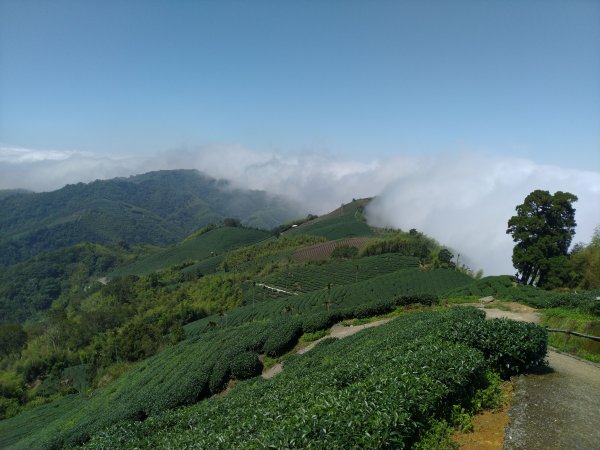 2023-05-28 雲嘉六連峰2166227
