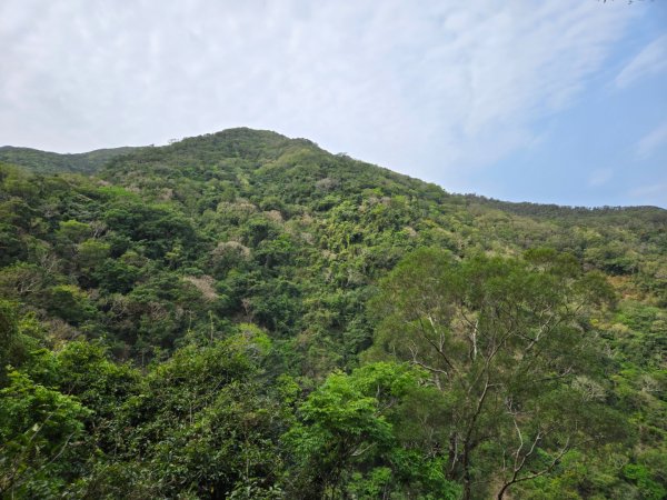 女仍山（小百岳）2752500