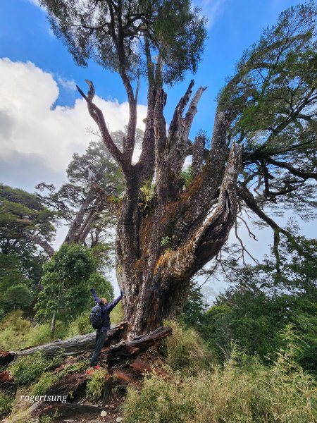 隆冬遊南橫，酷寒闖雙星(關山嶺山、塔關山)2707238