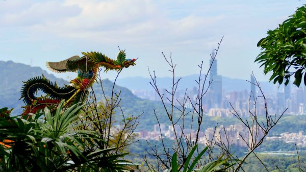 汐止大尖山2971875