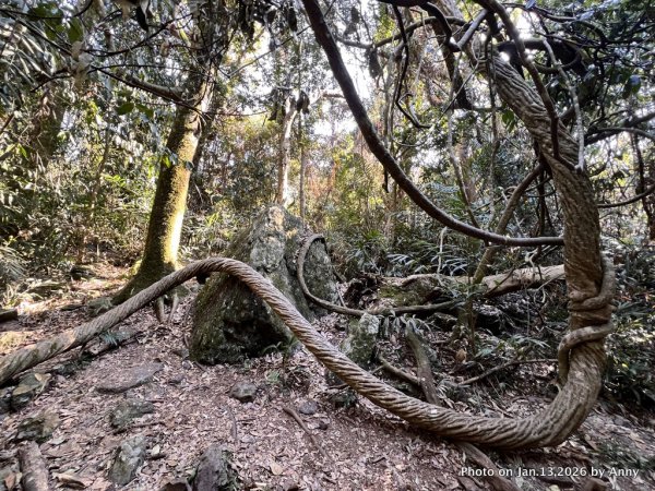 雪山坑步道（巨人之手）2986478