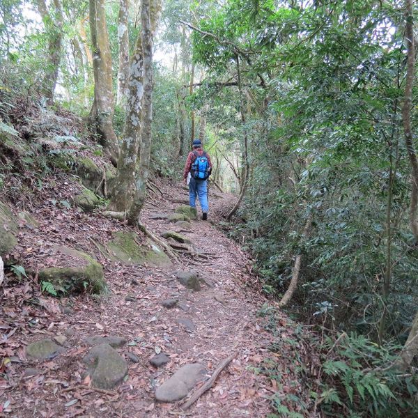 馬那邦山(珠湖線來回)375049