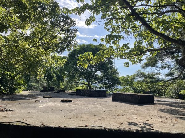 【二格山系】和美山螢火蟲2852561