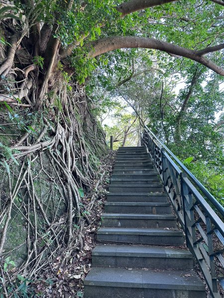 和美山螢火蟲段2873333