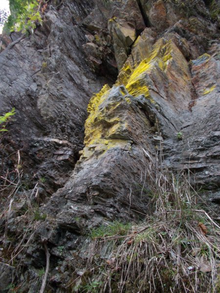 治茆山,治茆山南峰,巒山堂691188