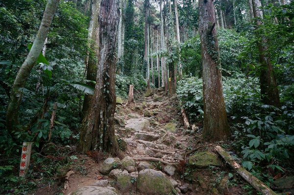 五指山五指連峰2025388