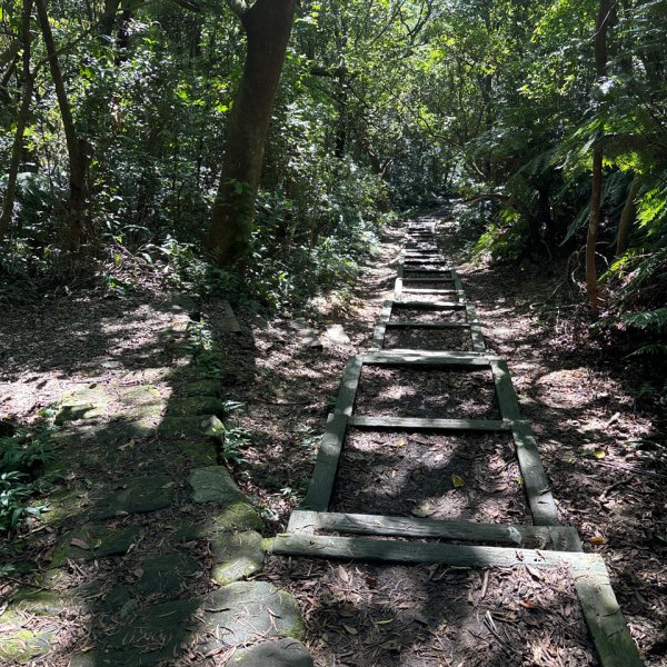 大崙頭山、大崙尾山2922669