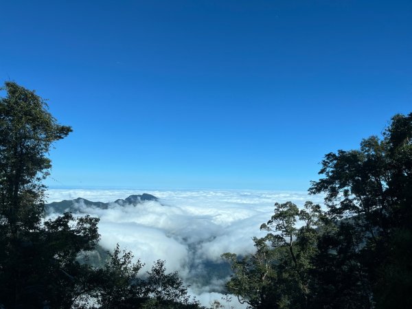 20241010_觀霧森林遊樂園區2855678